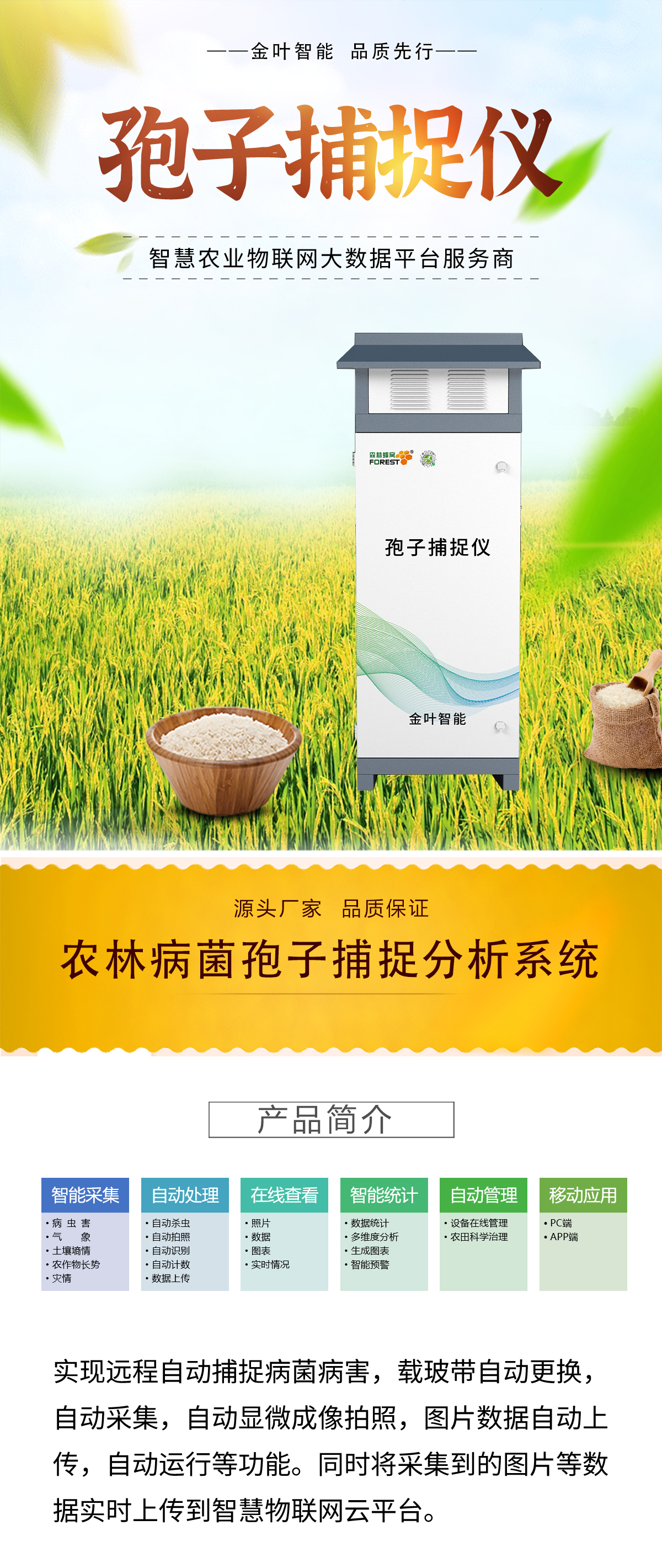 1742354598804349.jpg b_01.jpg