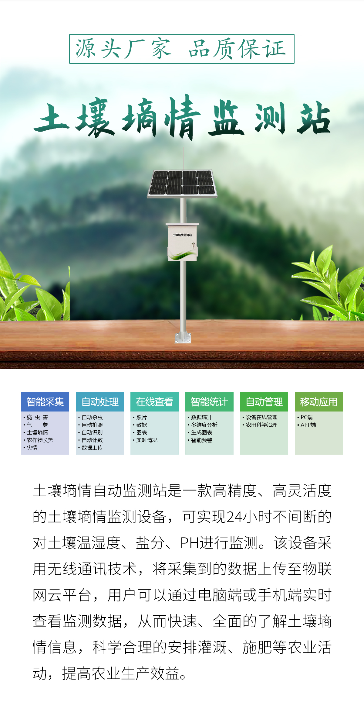 1743491821155001.jpg t_01.jpg